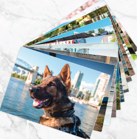 Note Card Set: 12 Cards (blank)